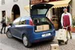 Grande Punto Van